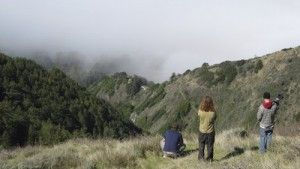 Big Sur (10)