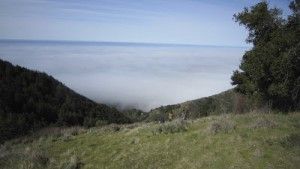 Big Sur (9)