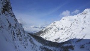 GNP (2)