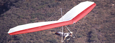 Falcon 2 e-newsletter photo