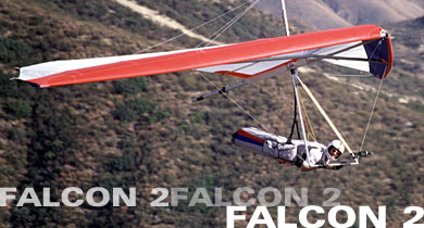 Falcon 2 in flight